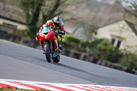 Oulton-Park-21st-March-2020;PJ-Motorsport-Photography-2020;anglesey;brands-hatch;cadwell-park;croft;donington-park;enduro-digital-images;event-digital-images;eventdigitalimages;mallory;no-limits;oulton-park;peter-wileman-photography;racing-digital-images;silverstone;snetterton;trackday-digital-images;trackday-photos;vmcc-banbury-run;welsh-2-day-enduro